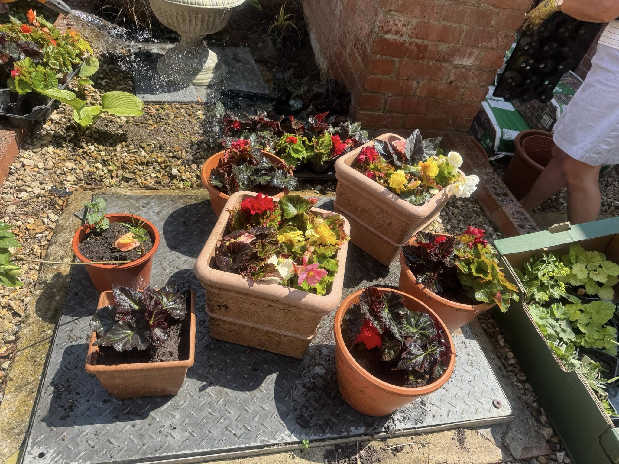 Gardening Group Update